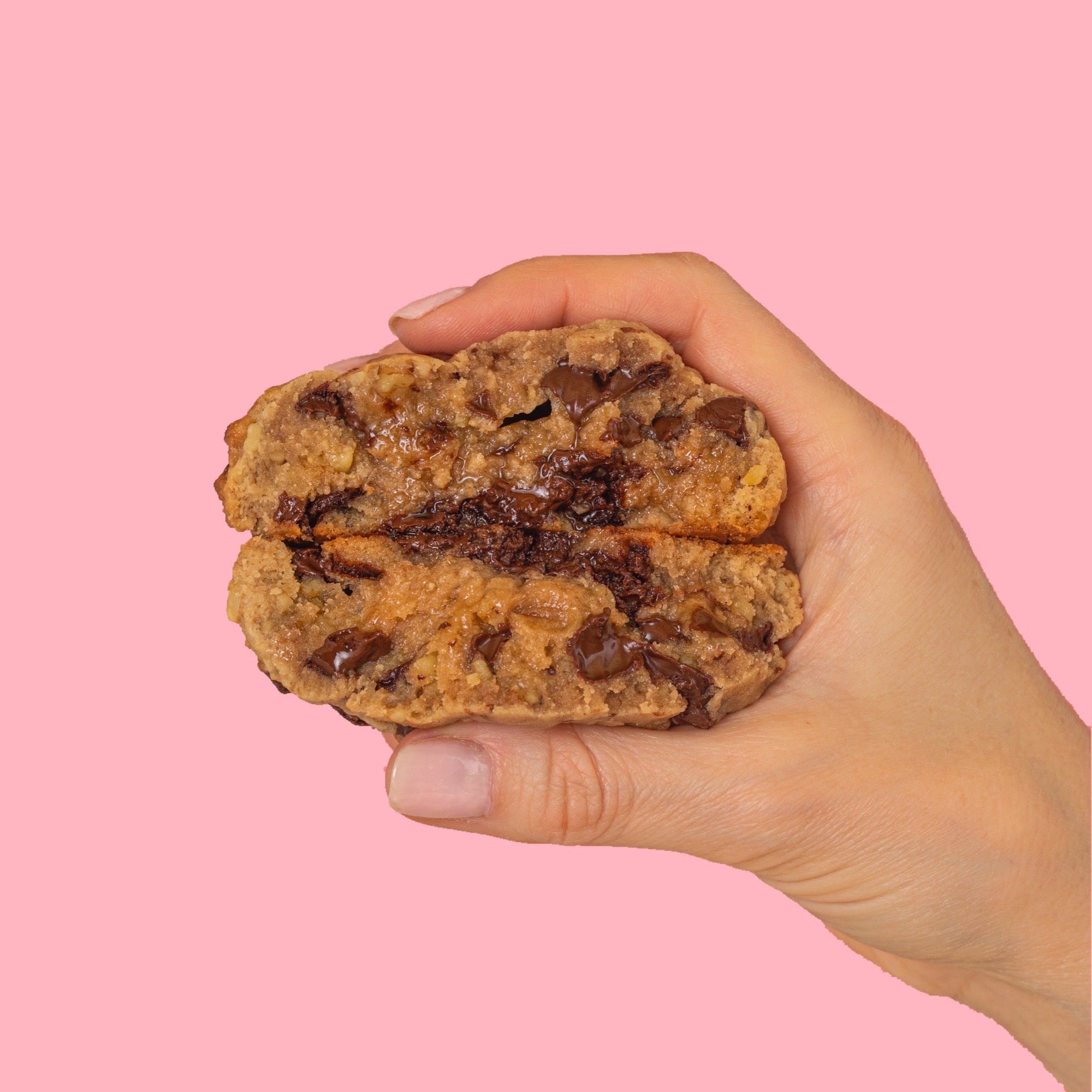 Oatmeal Chocolate Chip Cookie