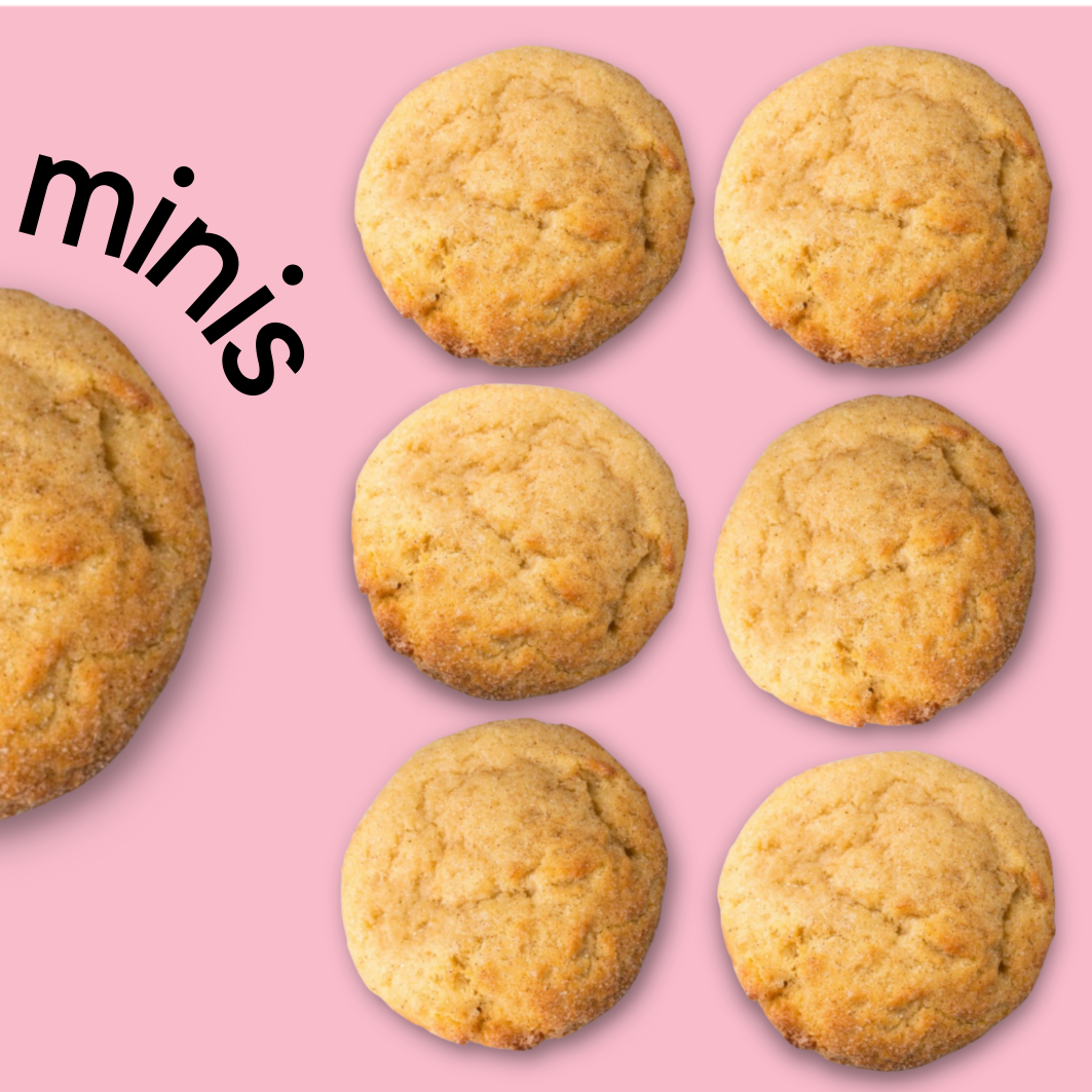 Mini Churro Cookies